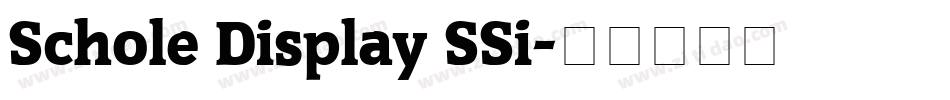 Schole Display SSi字体转换